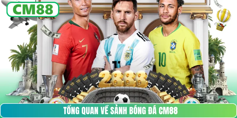 Tổng quan về sảnh bóng đá CM88
